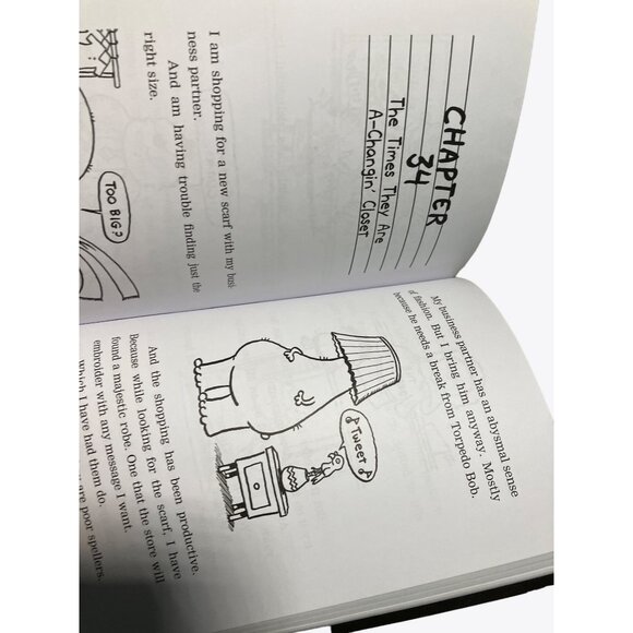 Stephan Pastis TIMMY FAILURE Now Look what you've Done Book 2 in Series - Picture 8 of 11